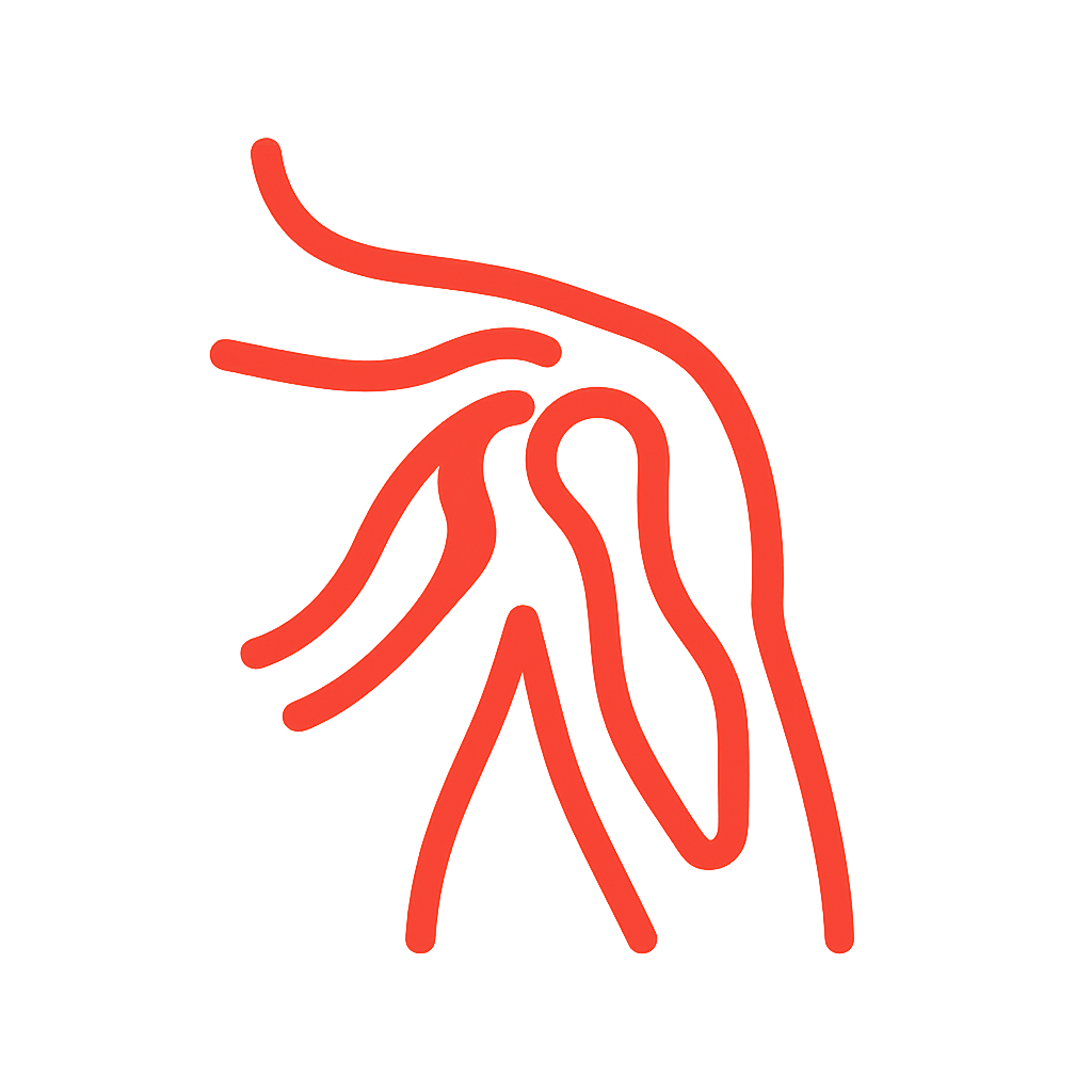 Muskelverformungschulter Icon